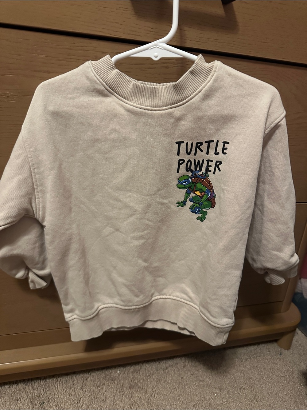 H&M Cream Sweatshirt with Turtle Power Graphic